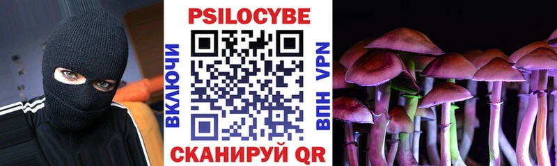 Галлюциногенные грибы Cubensis Купить где Петровск-Забайкальский